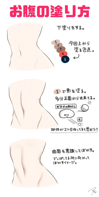 自己流ですがお腹の塗り方についてまとめてみました。
もしよろしければみてやってください。あわよくばお腹描いてください。お願いします。 
