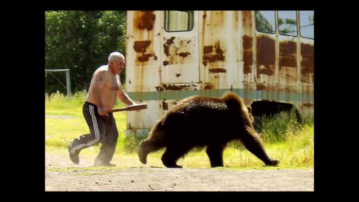 TheF0RCE's tweet photo. @wokyleeks @ecker_recipes #ScaredBear #BearsOnTheRun https://t.co/x8rtpsKwCV