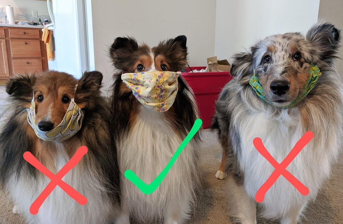 Our county is now mandated to wear masks. Its about time.