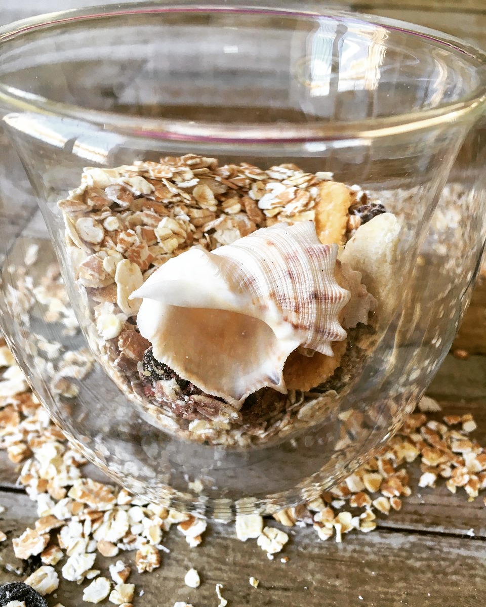ZNalika's tweet photo. #shell #seashell #sea #loveshell https://t.co/y9QrV2sztA
