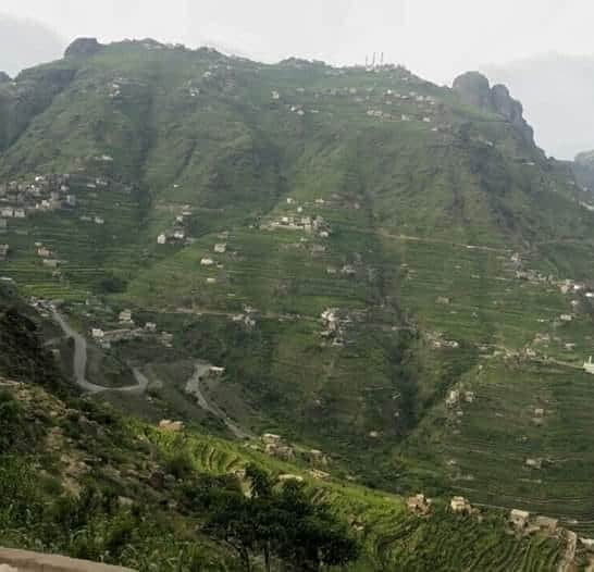 RimaYemen's tweet photo. #اليمن_الجمهوري ♥️
#الطبيعه_في_محافظة_ريمة_غير 🌲
مديرية بلاد الطعام #محافظة_ريمة 🇾🇪 https://t.co/ly65VgSTCO