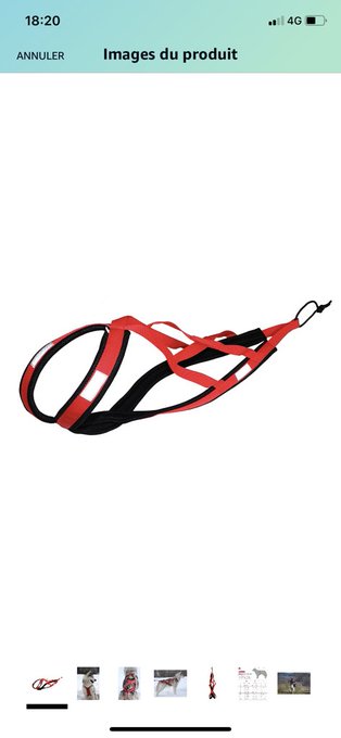 Merci merci :))) la malle de rangement me sert de ouf ! Et le harnais est tip top pour ma boule https://t<a href="/tag/covid19france"class="tags"><span>#covid19france</span></a><a href="/tag/couvrefeu18h"class="tags"><span>#couvrefeu18h</span></a><a href="/tag/castex18h"class="tags"><span>#castex18h</span></a>