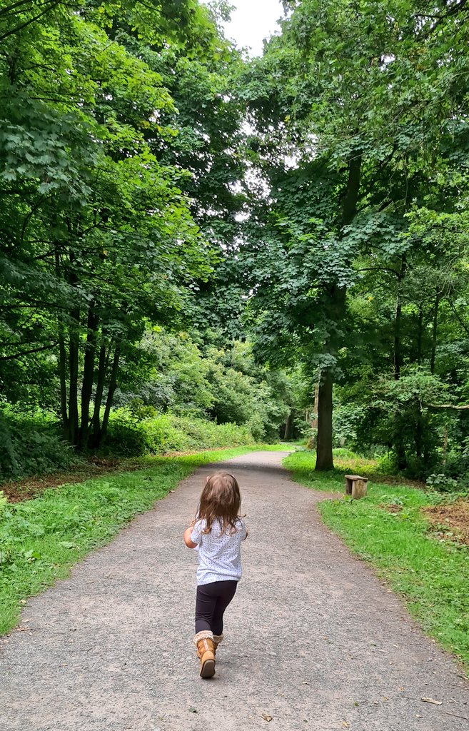 AllyOwen's tweet photo. Thank you to @AttinghamParkNT for a fabulous day out today. So well organised, everything thought of and super safe for all. My little adventurer had her map to read and deer to find βοΈβοΈ ππβ€οΈ @nationaltrust #NTMembers #NationalTrust https://t.co/38V7bJhs6p