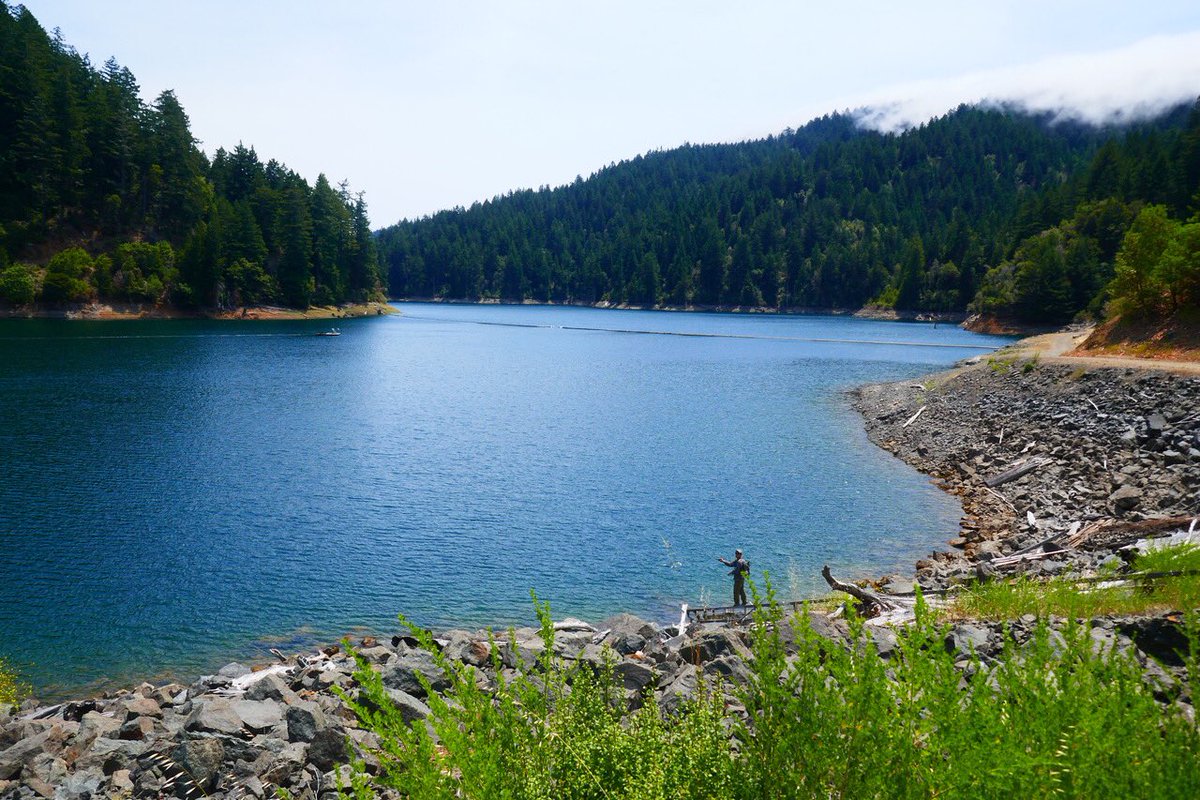 lisalouiswrites's tweet photo. “Kent Lake from Shafter Bridge” new Hike Notes
https://t.co/Tq6BQa6WUR
#hiking #autism #nature #outdoors  #photography #hikes #trails #Marin #KentLake #MarinWatershed #SamuelPTaylor #StatePark #California #lakes #mountains #freshair #breathe #naturelovers #gratitude https://t.co/O6kkjBG4Bd