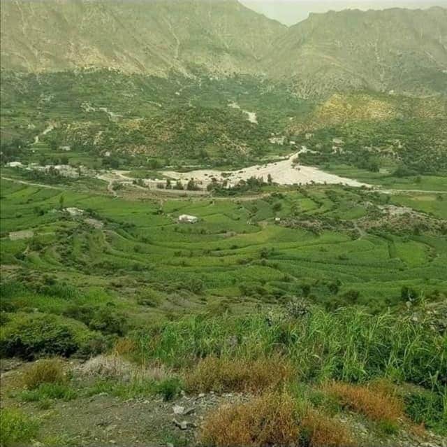 RimaYemen's tweet photo. #شارك_علق_اعجاب ♥️
#الطبيعه_في_محافظة_ريمة_غير 🌲 
جزء من وديان بني نفيع وبني القرضي 
يتوسط هذا الجمال سوق ربوع المسجدين
مديرية السلفية #محافظة_ريمة 🇾🇪
مشاركة ابوعمرو الضبيبي https://t.co/0OtjQyMl3s