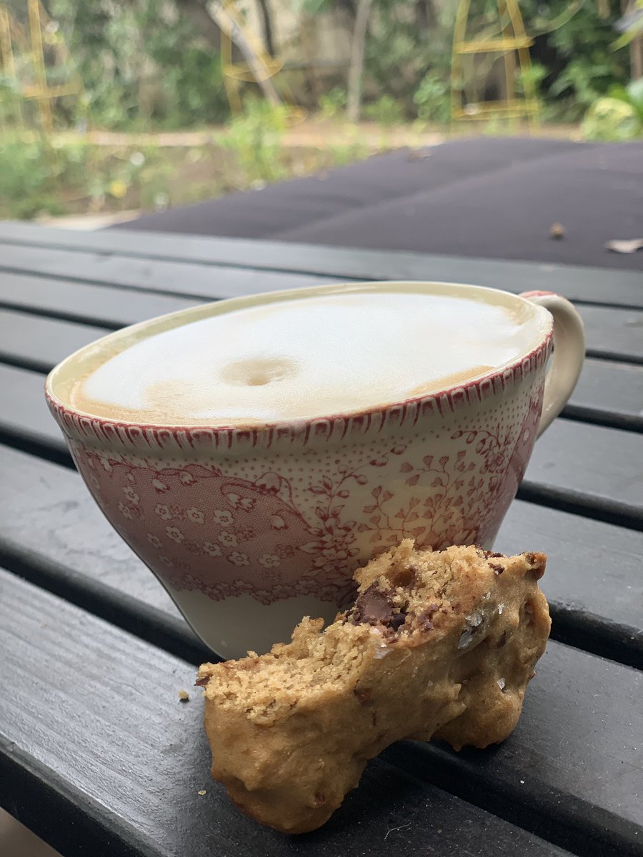 mstohl's tweet photo. cookies for breakfast I’m not proud (sourdough choc chip, recipe from #bryanford - on insta @artisanbryan - who wrote #NewWorldSourdough + now I know why it’s sold out on most sites) 💯🔥♥️🍪🍪🍪 https://t.co/qMPliFIUXR