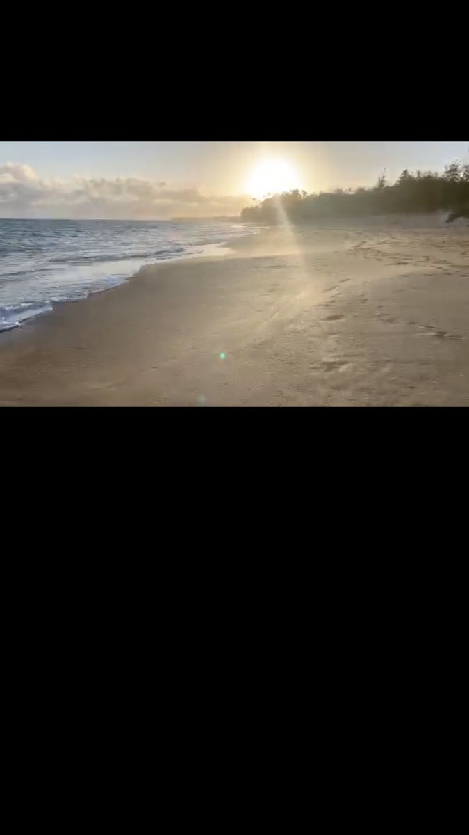 devawoman's tweet image. Another beautiful beach walk with Judi on Maui ❤️