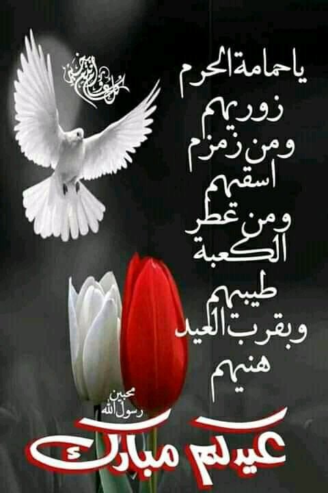 Ahmed (@ahmed29024805) on Twitter photo 