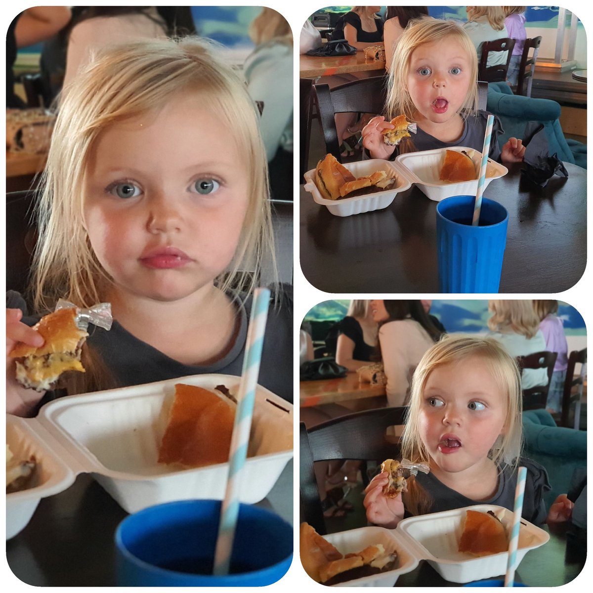 ShimoneHoward's tweet photo. @BurgerJoe5 little jojo thoroughly enjoyed 🥰. Yummy yummy @MarineStreetSoc https://t.co/Xfp6vBrqW1