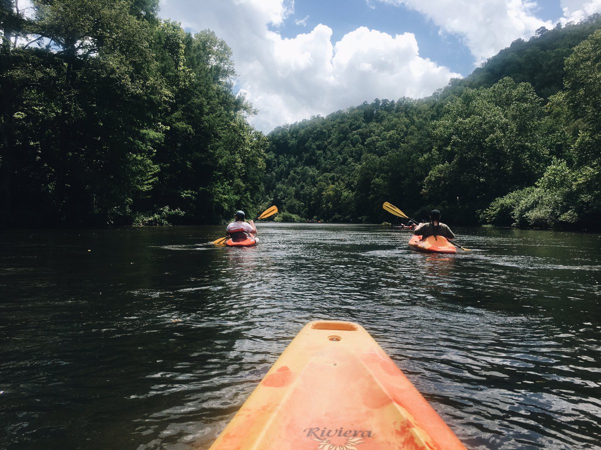 SarahDraper_'s tweet photo. Happy Place💛 https://t.co/zEHmpEV5V9