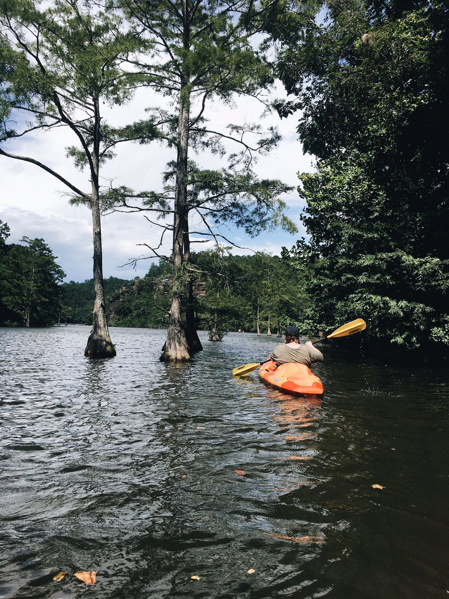 SarahDraper_'s tweet photo. Happy Place💛 https://t.co/zEHmpEV5V9