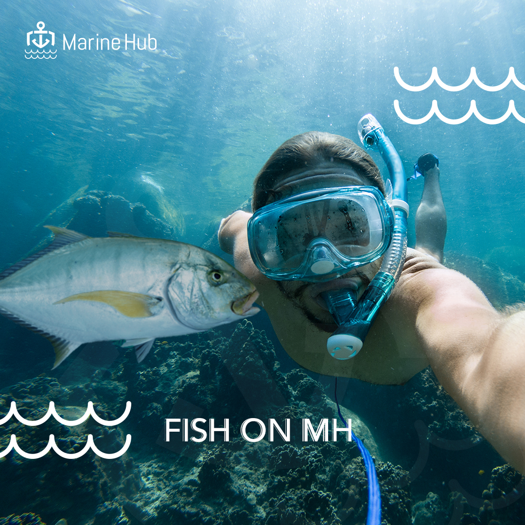 eMarineHub's tweet photo. جهز عدتك من موقعنا واطلع تغوص ولا تنسي تشاركنا الصور من خلال الهاشتاق #FishOnMH
وبنضيف صورة مغامراتك البحرية علي موقعنا.
•
Get your diving gear ready, and take some photos to share your adventures! Use the hashtag #FishOnMH and your photos will be featured on our website. https://t.co/A9b9GfACAD