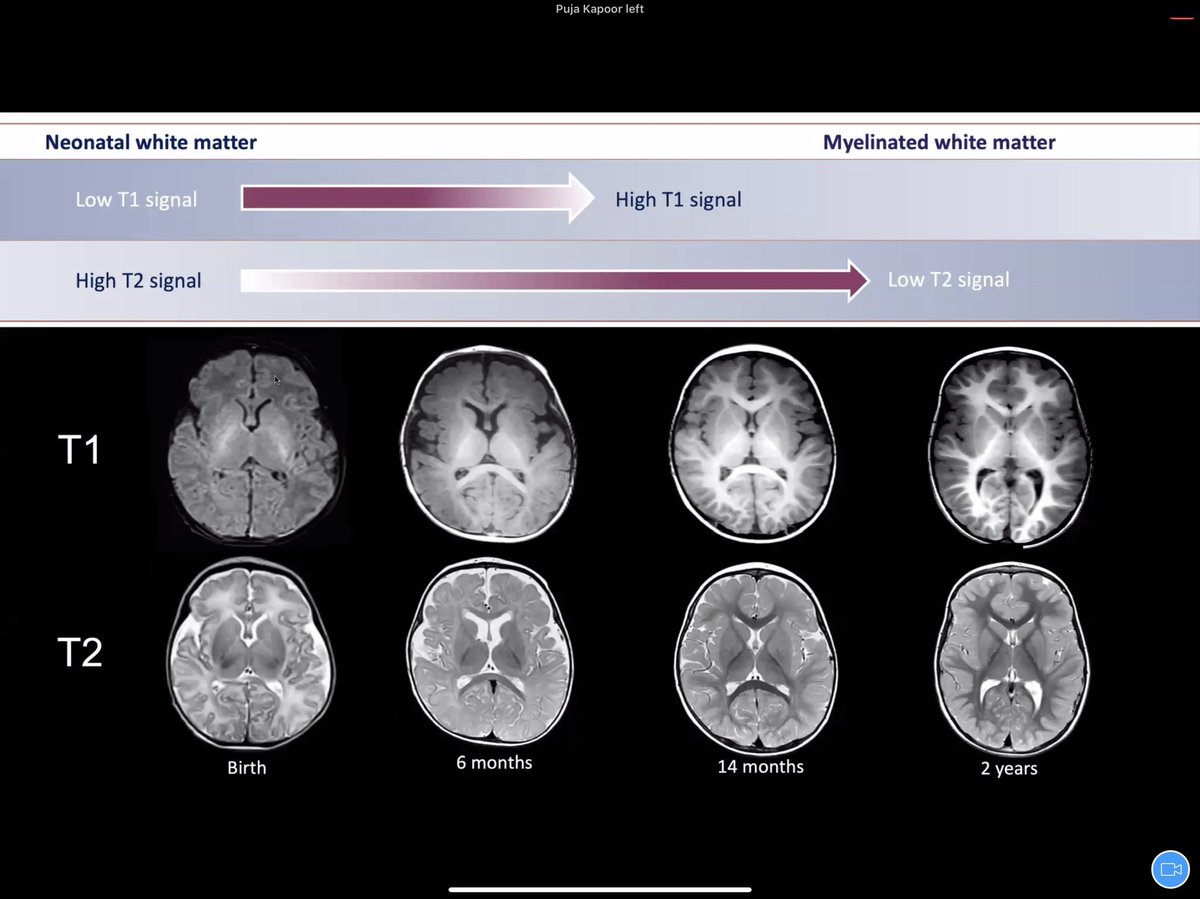 Aashim Bhatia, M.D., M.S. tweet media