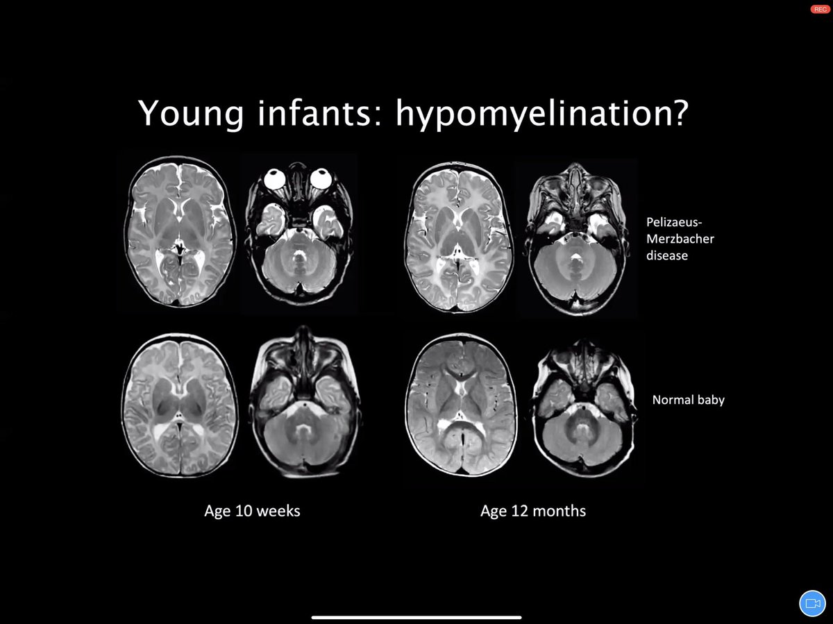 Aashim Bhatia, M.D., M.S. tweet media