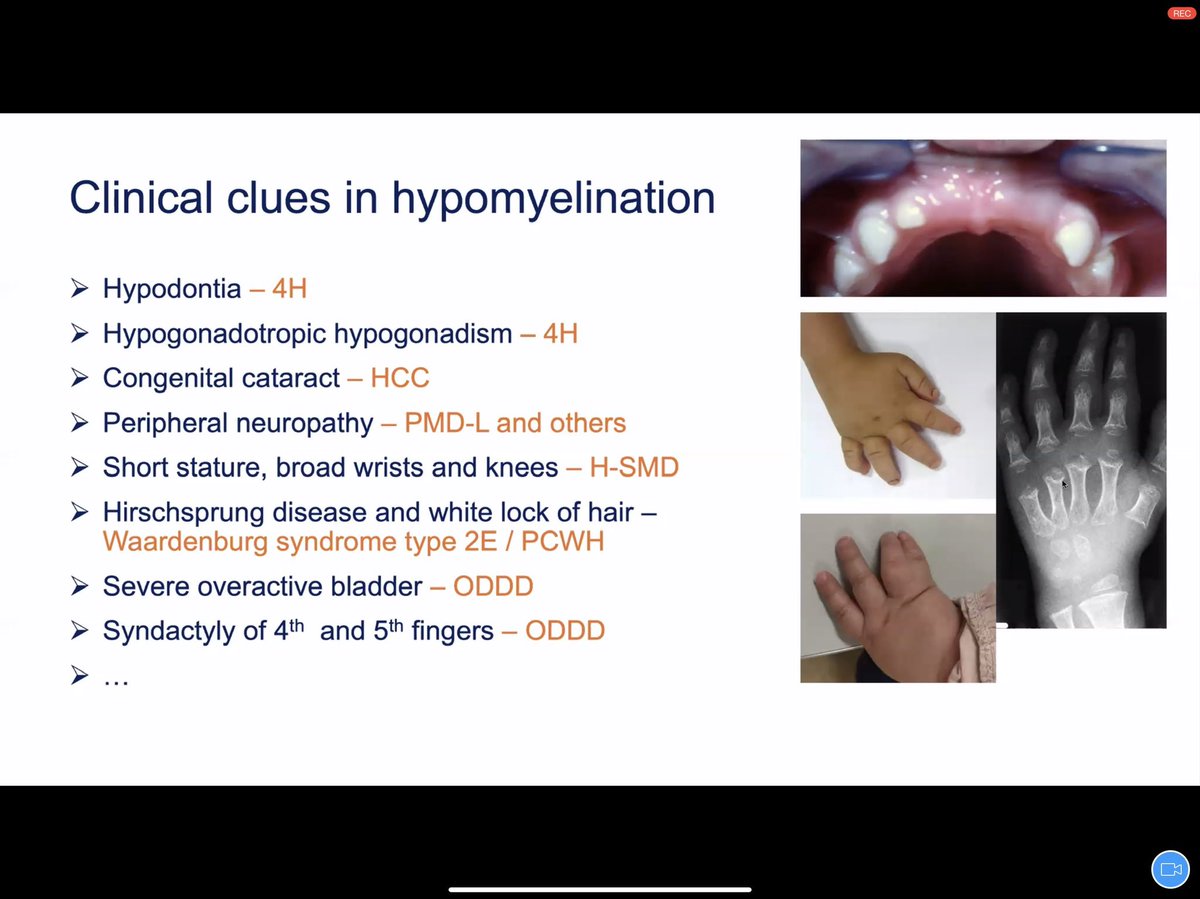 Aashim Bhatia, M.D., M.S. tweet media