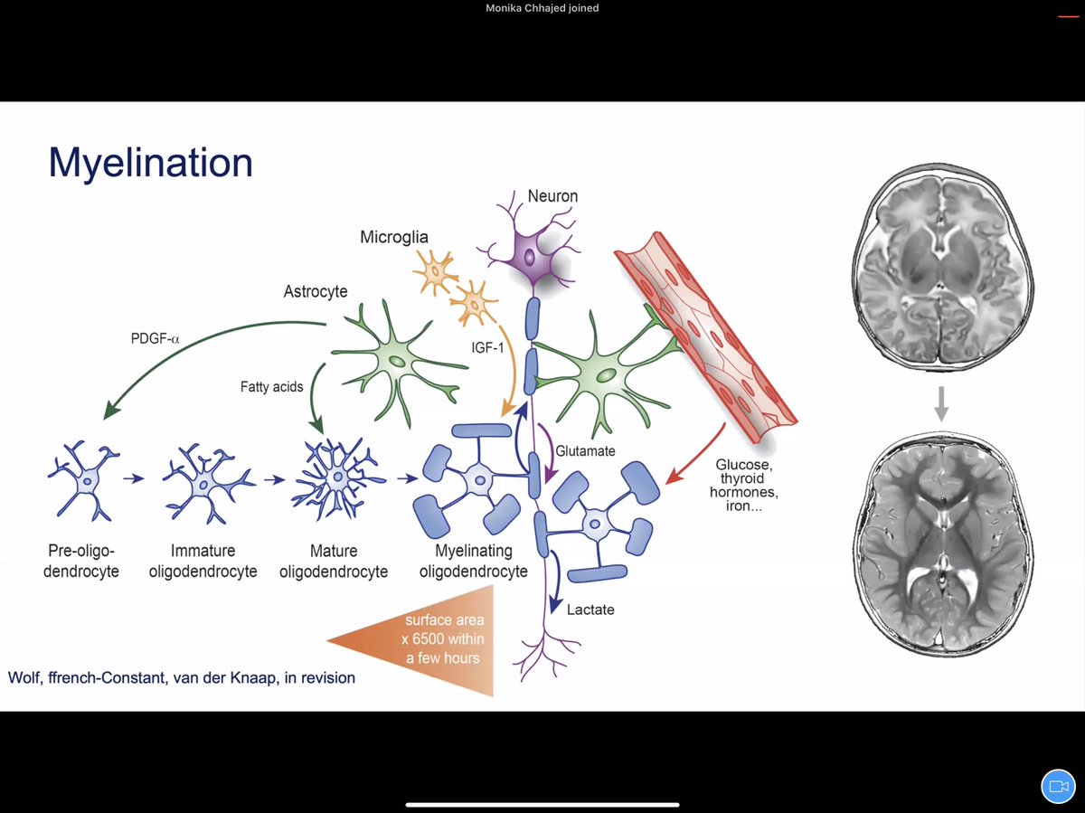 Aashim Bhatia, M.D., M.S. tweet media