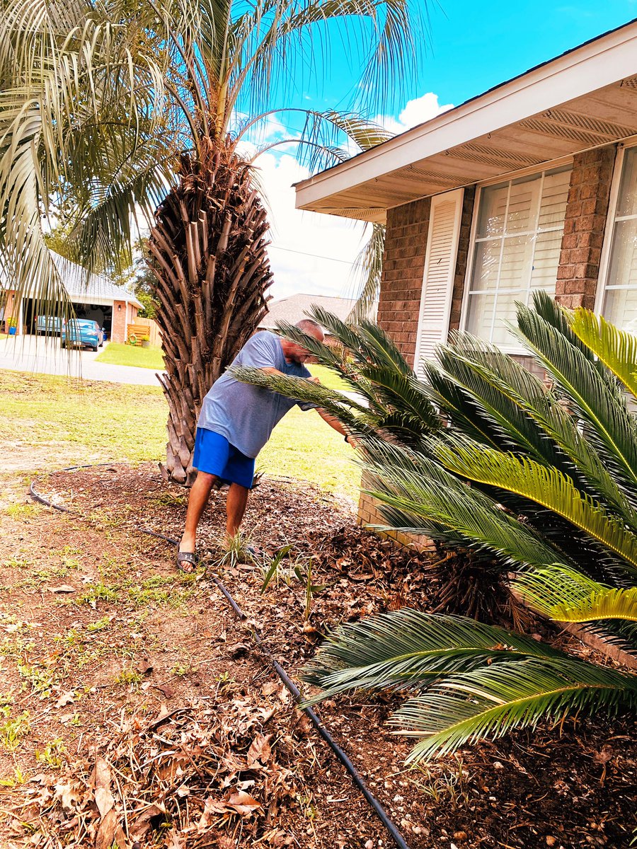TherealAmberM's tweet photo. Buy a house and work in the yard! It will be therapeutic! #NOTforME #EspeciallyNOTforHIM #YardProblems @robarmstrong41 https://t.co/kRPVi8Nzoe