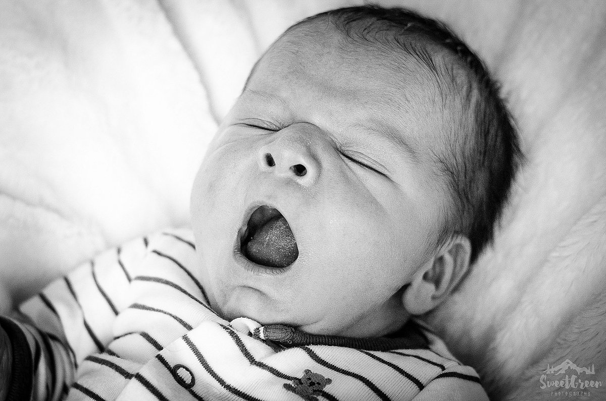 Sweet Green Steph tweet media