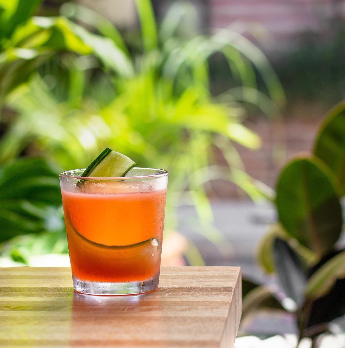ForgottenTonic's tweet photo. When a cocktail says it all, “I Can’t Even.” ⠀
@CimarronTequila, @DelMagueyMezcal, @AperolUSA, strawberry shrub, lime, and grapefruit.⠀
⠀
Get out of the heat and enjoy one or three, we won’t judge. #tequiladay https://t.co/9Y88gWBmlj