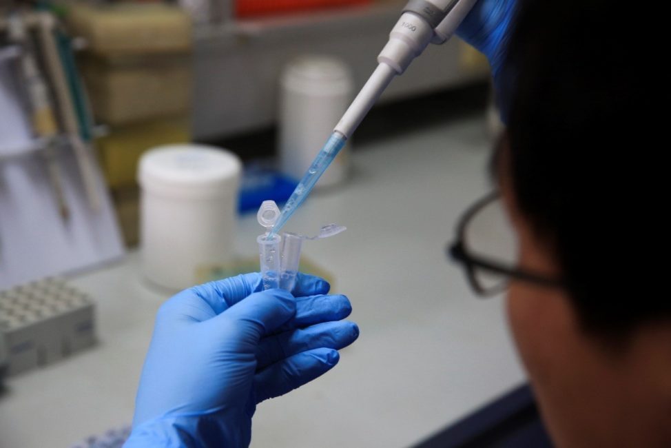 news_ghana's tweet photo. #Science #developmethod #fuel Israeli researchers develop method to turn watermelon waste into fuel https://t.co/HTkL5jLZNN https://t.co/7DkRPgOWbS