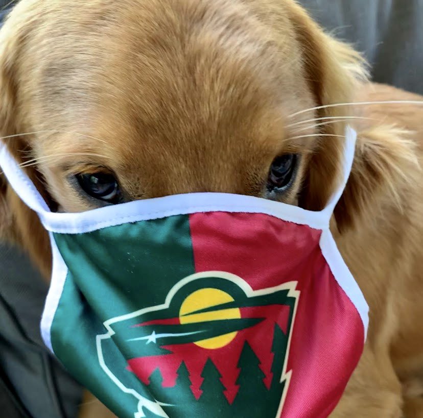 mnwildpup's tweet photo. don’t forget to wear your maskssss!!! https://t.co/sELC7AxmAQ