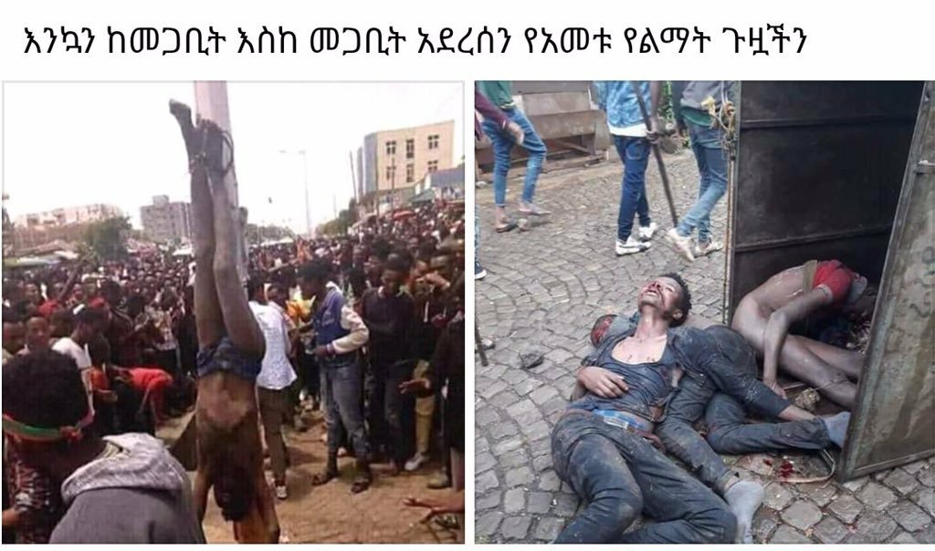 Berae's tweet photo. #qeerroo network at work. At this specific incident, Z only thing Z #qeerroo got was good sence that they wouldn't get away with what their #machete #mencha wielding
#comrades in #Ethiopia #oromia 've been getting away under @AbiyAhmedAli
@CityofSeattle @SeattleCouncil @FoxNews https://t.co/Jyc0lcs2BQ
