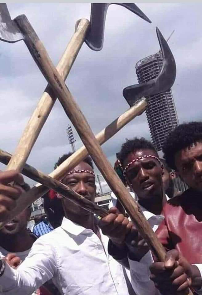 Berae's tweet photo. #qeerroo network at work. At this specific incident, Z only thing Z #qeerroo got was good sence that they wouldn't get away with what their #machete #mencha wielding
#comrades in #Ethiopia #oromia 've been getting away under @AbiyAhmedAli
@CityofSeattle @SeattleCouncil @FoxNews https://t.co/Jyc0lcs2BQ