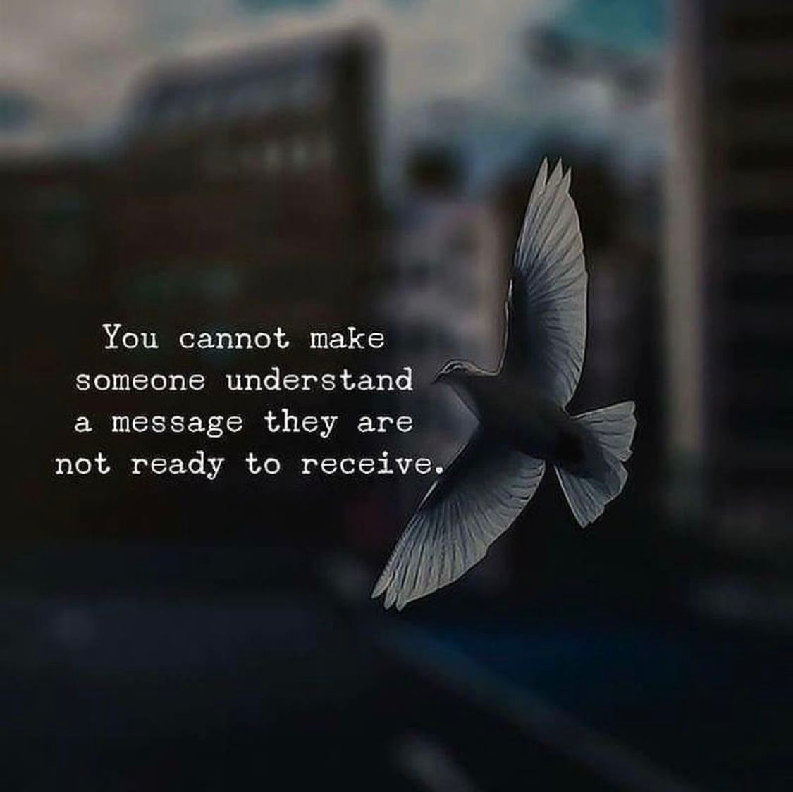 iamfearlesssoul's tweet photo. https://t.co/tQDinxlzKp