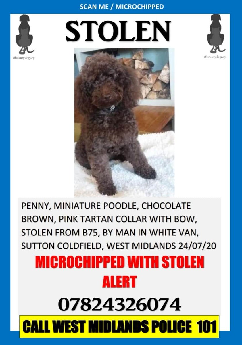 **Can you help?** let's have a good news story!!