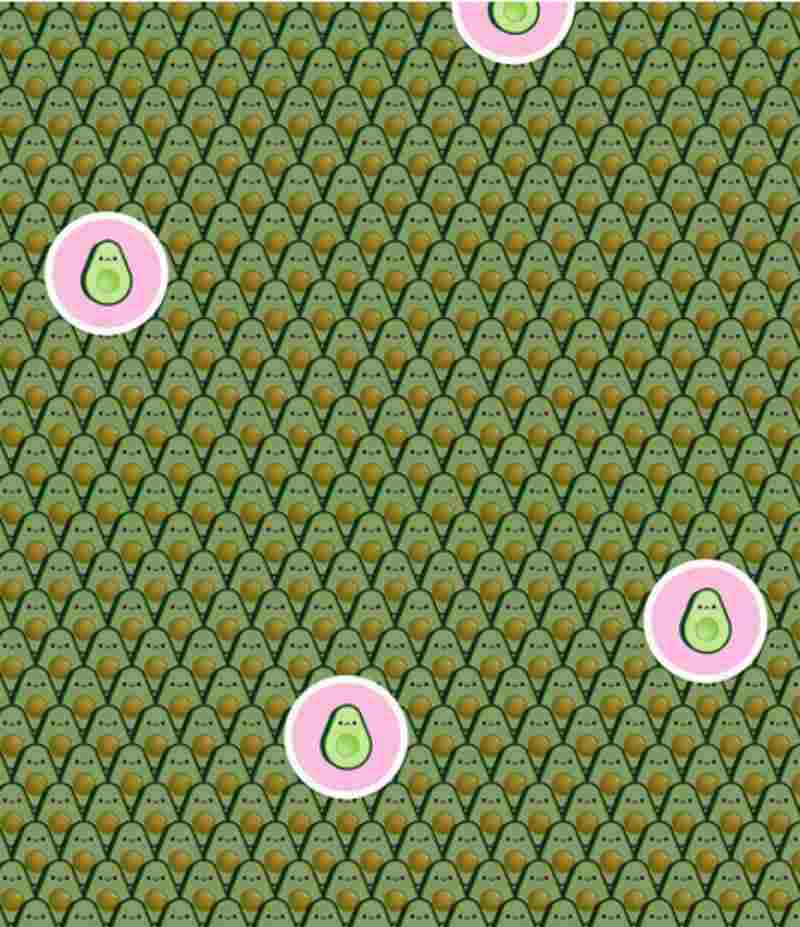 Vanessa Harp tweet media