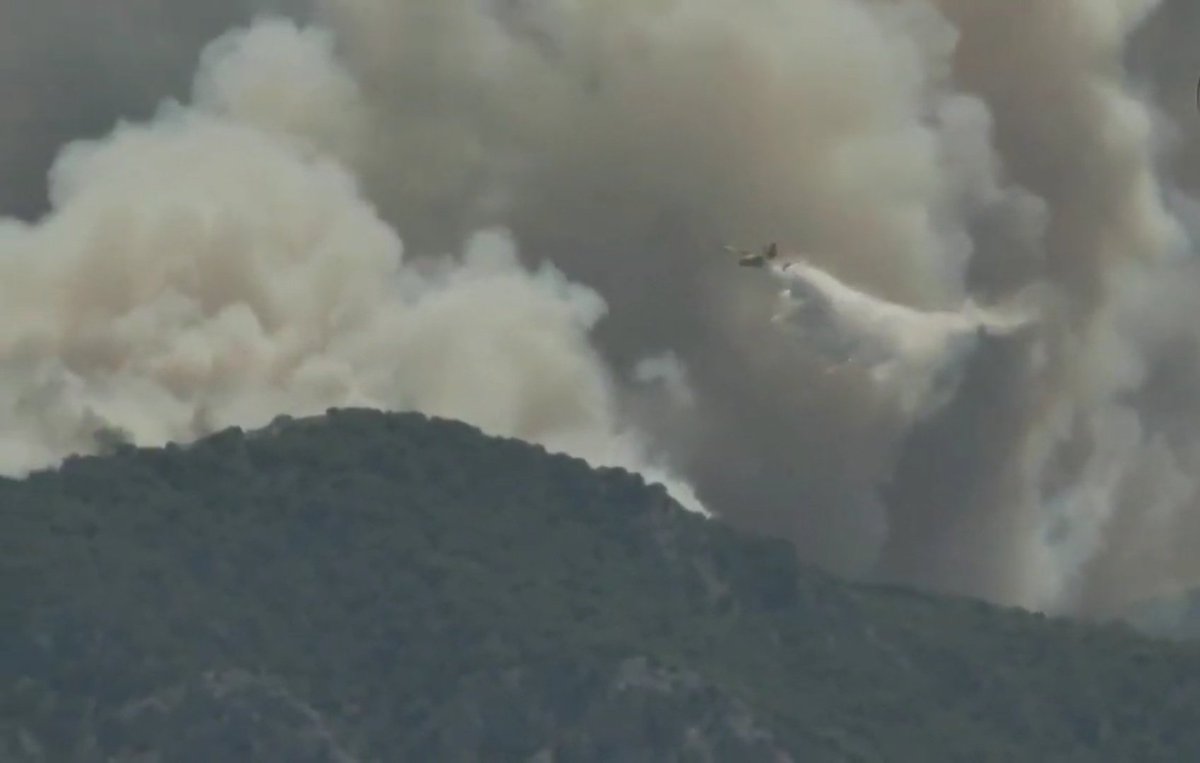 xarxaforestal's tweet photo. Gran incendi forestal a #Kechries #Peloponés #Grècia https://t.co/7uRGVsxRGs