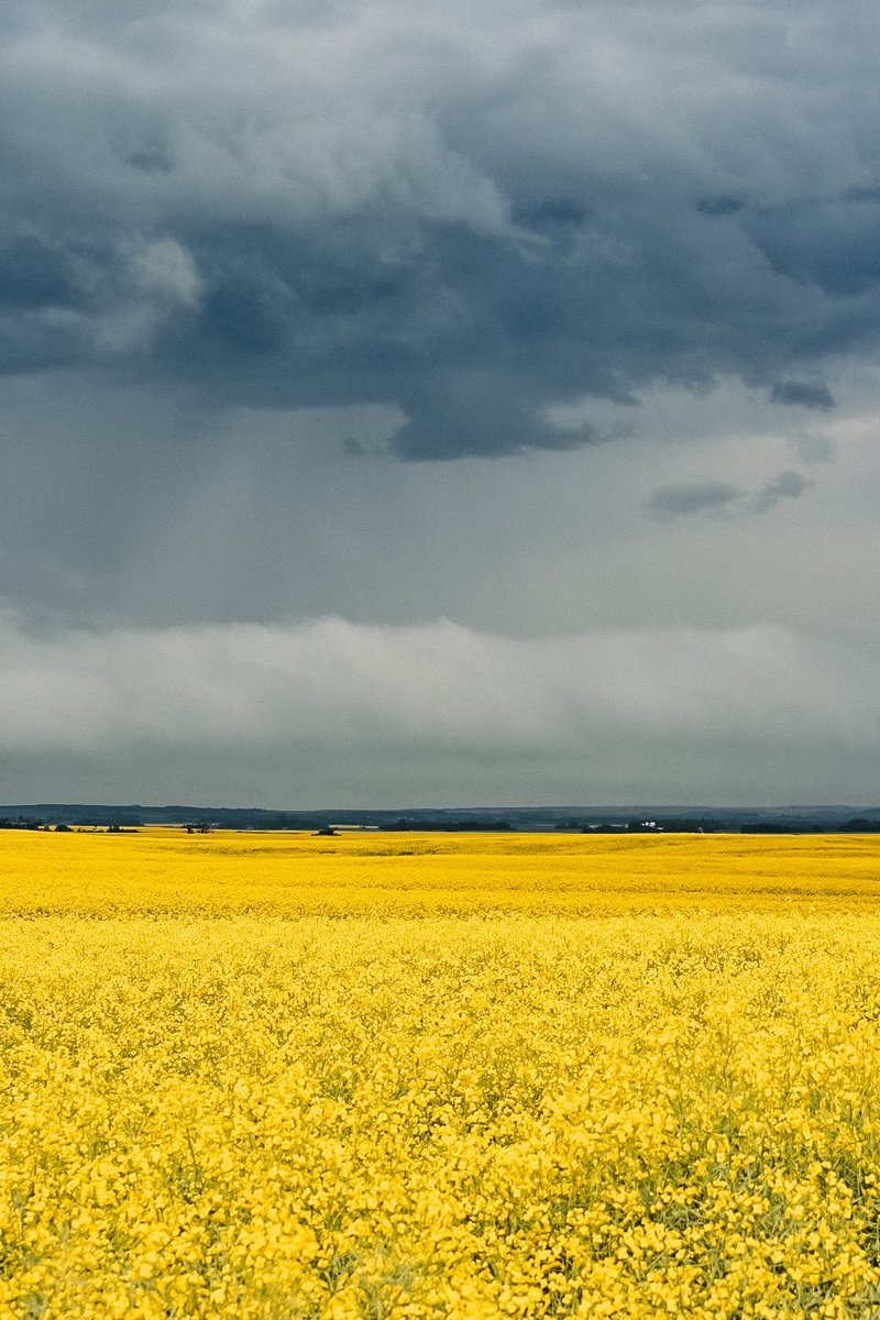 High 25’s this week is bound to whip a good storm