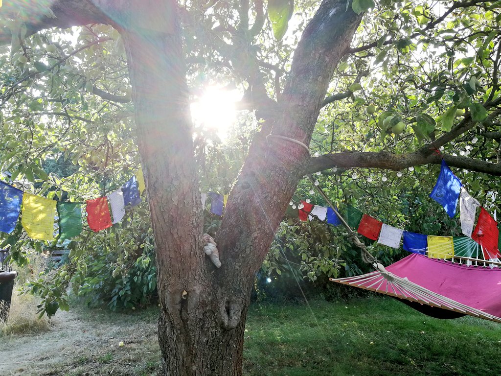 The best place during summer is under this old apple tree #SummerVibes #Summer2020 #chill #qualitytime