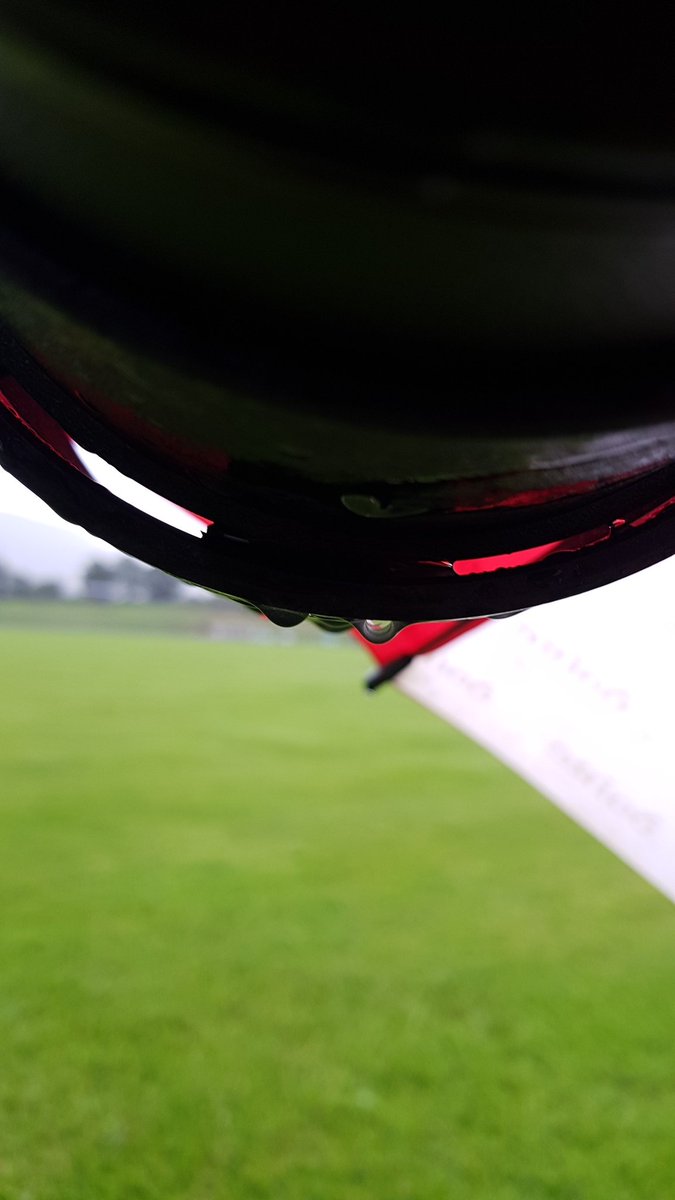 Mary K Burke tweet media