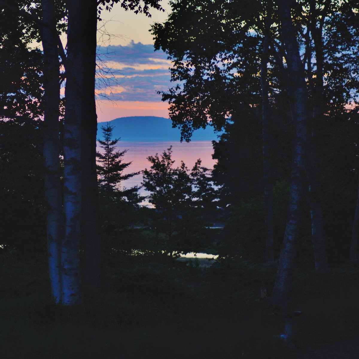 homeonsaltmarsh's tweet photo. Sunrise on the Passamaquoddy Bay by the Pagan Point Nature Preserve. #passamaquoddybay #saltmarsh #paganpointnaturepreserve https://t.co/i3Y0OqLuay