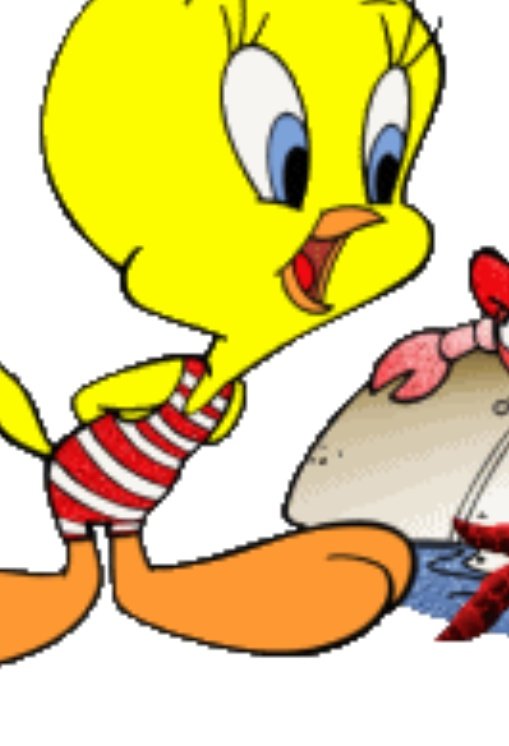 Guys tweety has blue yes 