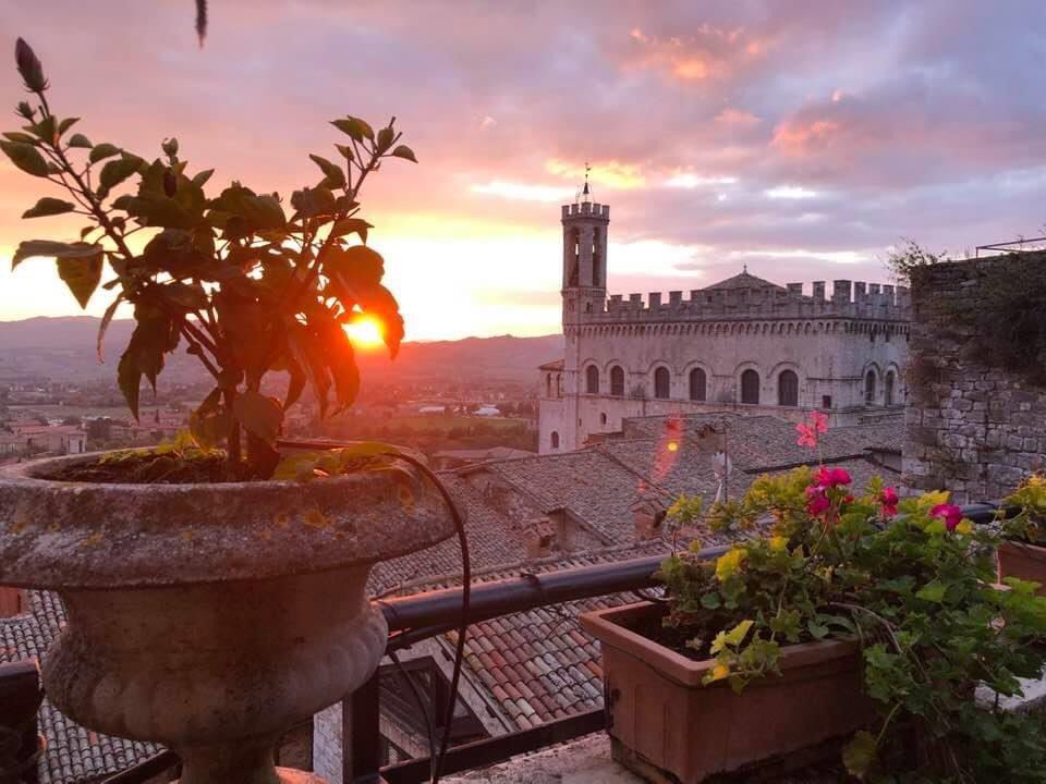 relaisducale's tweet photo. Un Luogo straordinario con personale meraviglioso e clienti affezionati ❤️.   
vieni a scoprirlo!
#gubbio #umbria #Italia  https://t.co/XH4SEgC6uO https://t.co/bevOo7NR0j https://t.co/Nclr5GwzlG