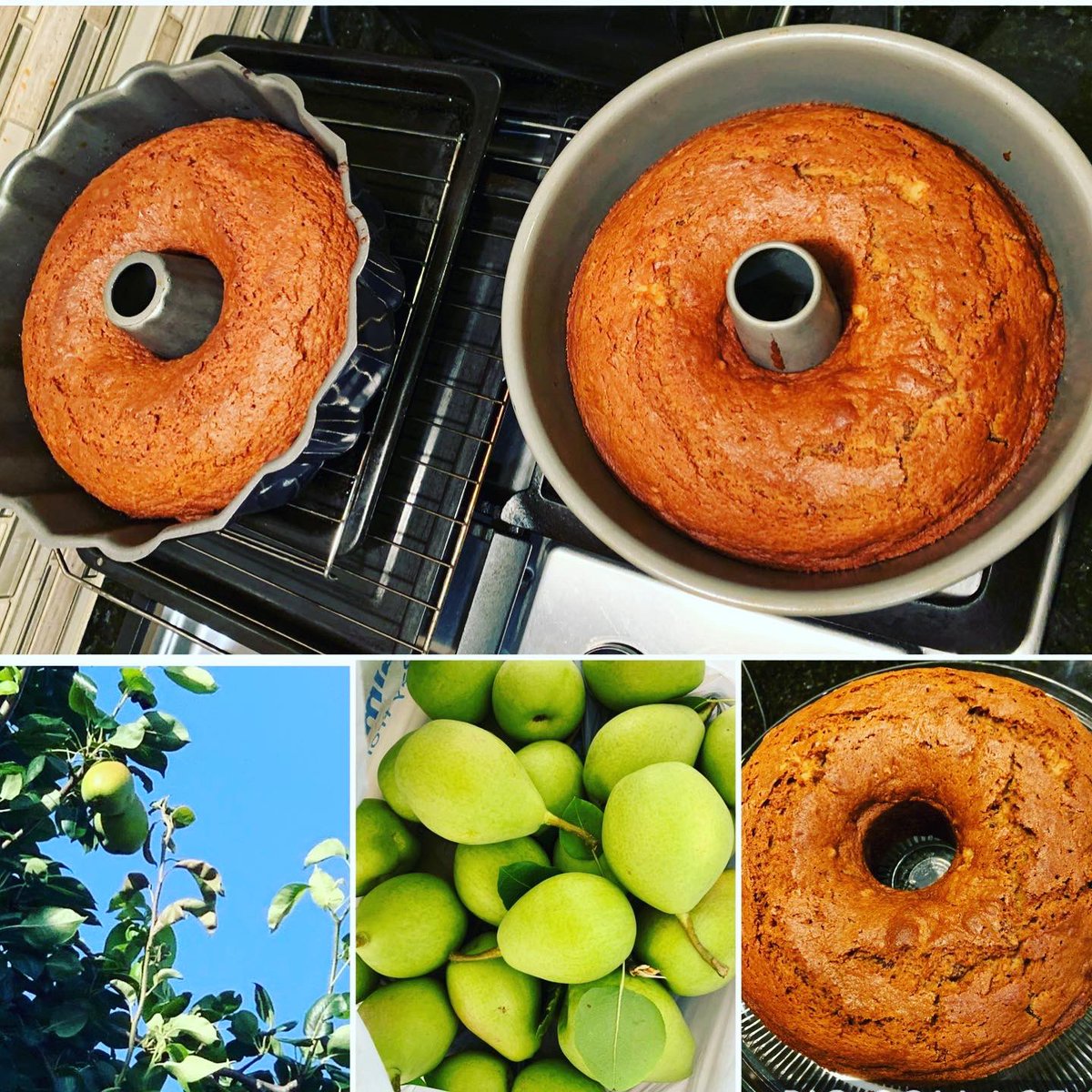 DrTif's tweet photo. Teaching Babygirl.., &amp; She’s great. One of our favorites, from our very own Pear Tree! #pear #cake #dessert #freah #delishious #familytime #teachthemyoung #baking #lovecooking #proudmom #Cooking #BlessedAndGrateful #family https://t.co/chMW5hwoH6