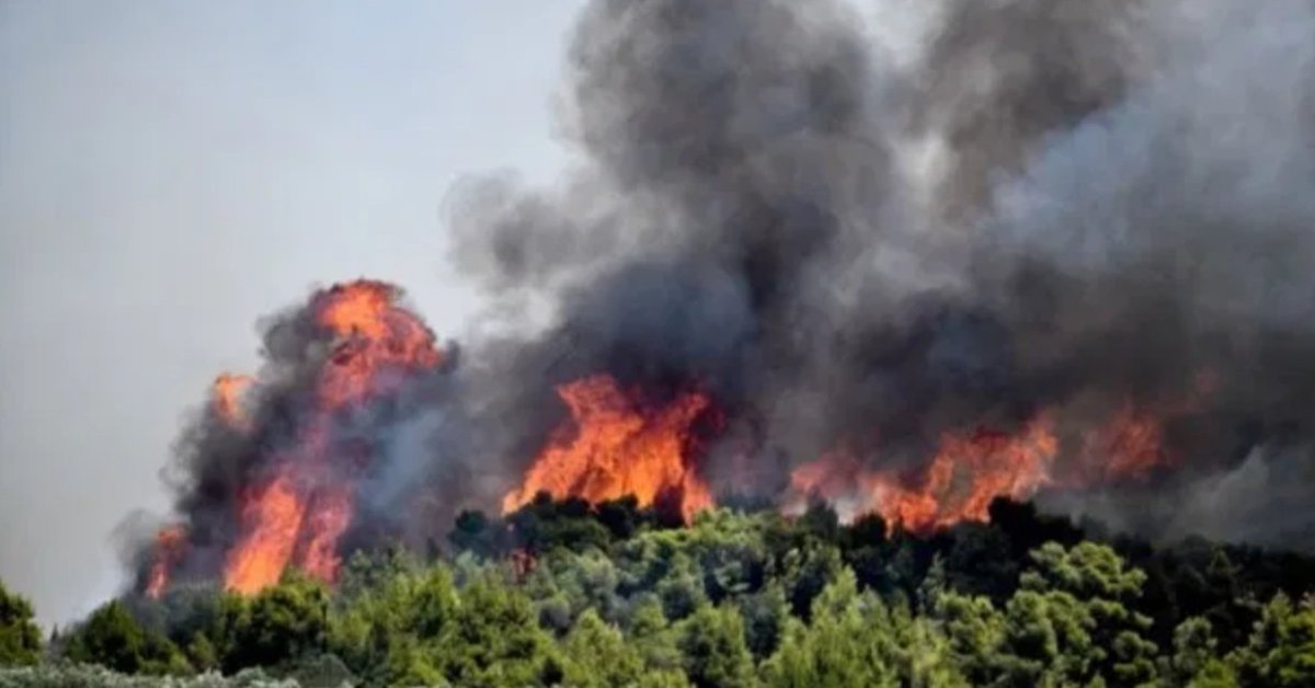 xarxaforestal's tweet photo. Gran incendi forestal a #Kechries #Peloponés #Grècia https://t.co/7uRGVsxRGs