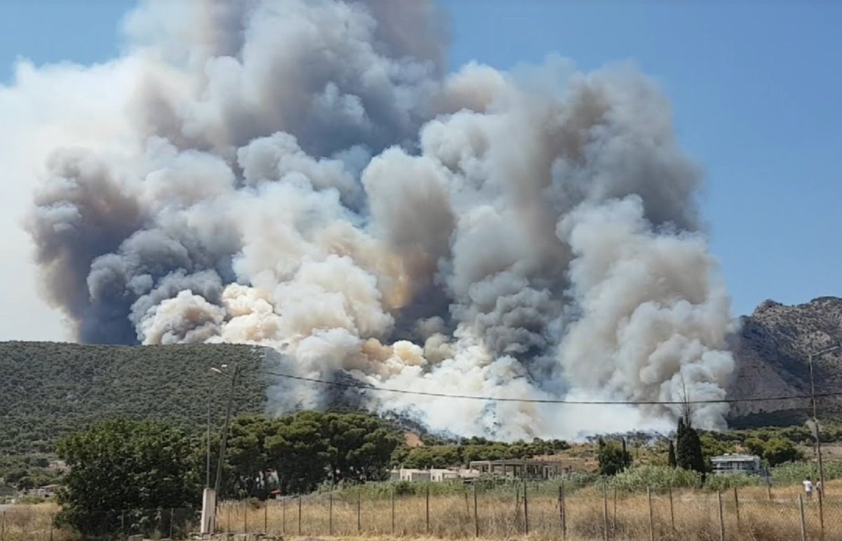 xarxaforestal's tweet photo. Gran incendi forestal a #Kechries #Peloponés #Grècia https://t.co/7uRGVsxRGs