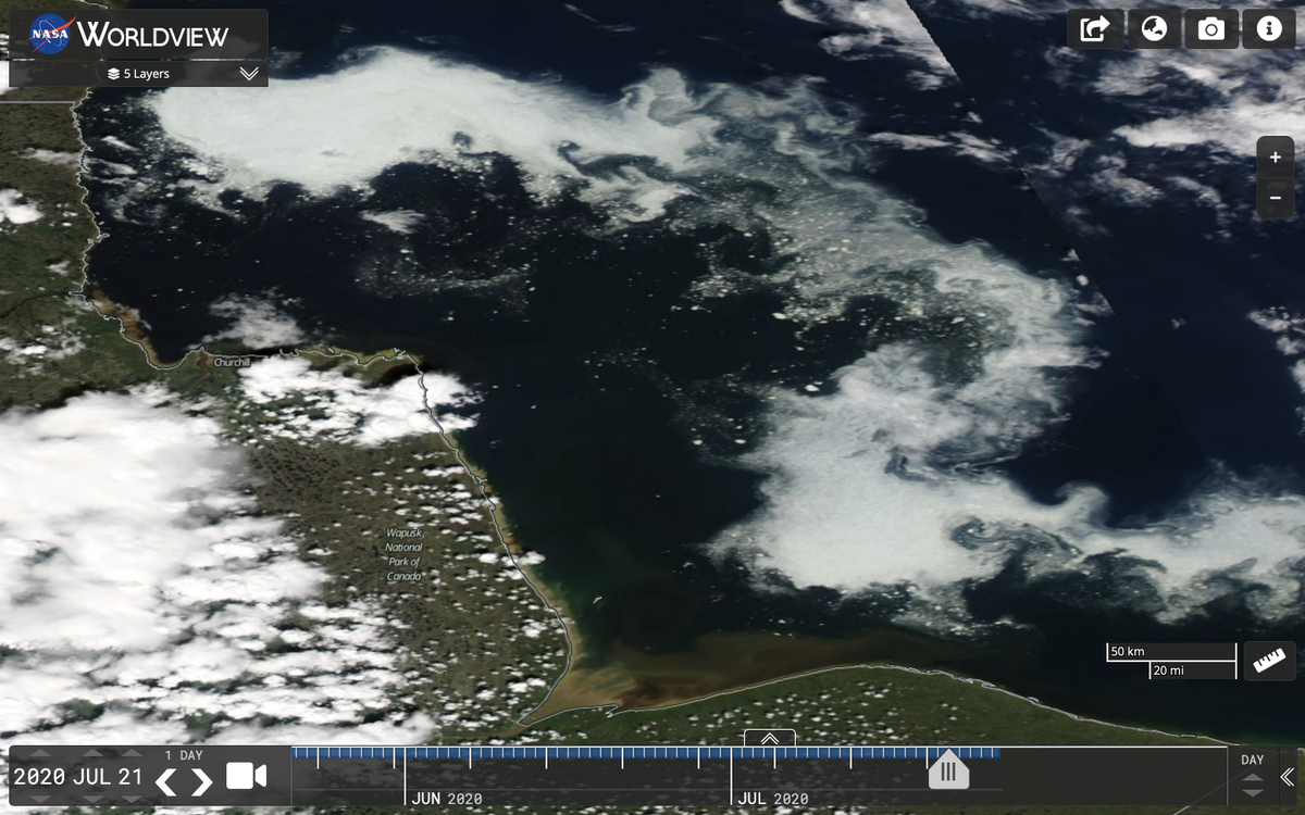 AEDerocher's tweet photo. 3 W Hudson Bay polar bears tracked by satellite are ashore. Others are clinging to the last bits of ice. Another seal would be a bonus as there's precious little to eat ashore. Climate change remains the long term threat: 1 normal year doesn't alter the trends. https://t.co/JM7p92nsUa