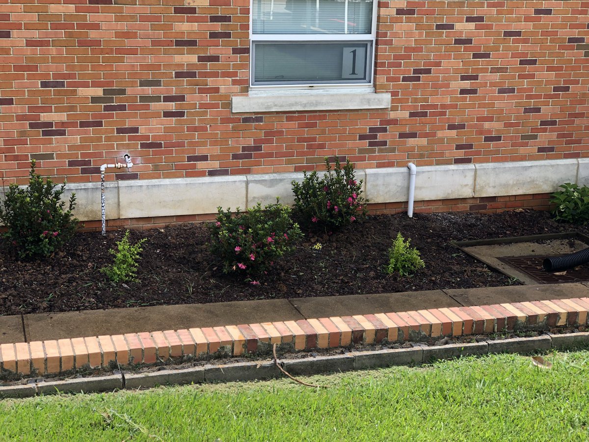milonsc's tweet photo. 1. Redecorate Office β
2. Beautify front of school β
#BeginningofSchool
#Checklist https://t.co/V3jKGcPRKR