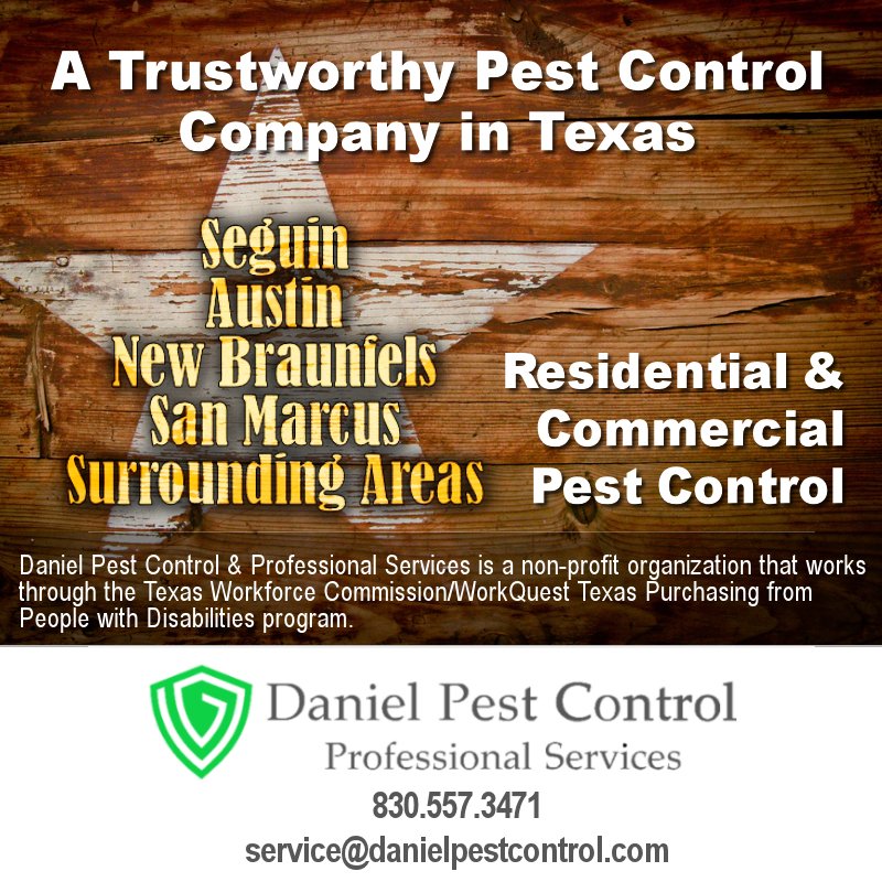 danlpest's tweet photo. For all of your residential and commercial pest control needs, contact Daniel Pest Control &amp; Professional Services. 
830.557.3471 or service@danielpestcontrol.com. #austin #seguin #pestcontrol https://t.co/BwMEhMBNjT