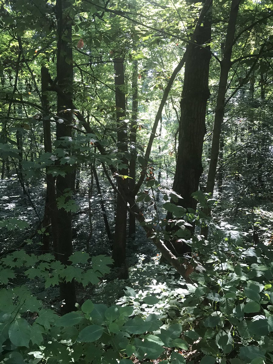 Beast502Mode's tweet photo. Todayβs.... Adventures with #NatureBeast https://t.co/ZIfQlZ5alU
