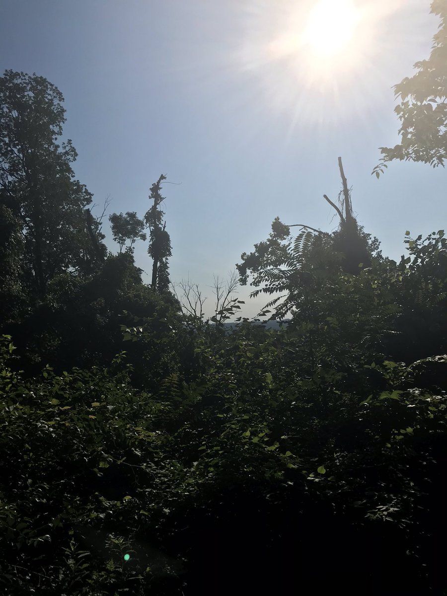 Beast502Mode's tweet photo. Todayβs.... Adventures with #NatureBeast https://t.co/ZIfQlZ5alU