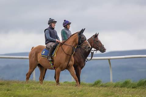 MikeBisson11's tweet photo. 'Looking On'

Two work riders, going about their work on the gallops at Middleham.

#racingpost #YorkshireDales #Yorkshire #yorkshirepost #thejockeyclub #britishhorseracingfederation #middleham https://t.co/vxG4ZT3KDR