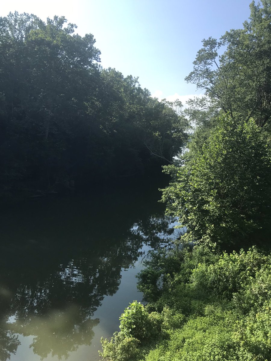 Beast502Mode's tweet photo. #NatureBeast https://t.co/1micXetWg2