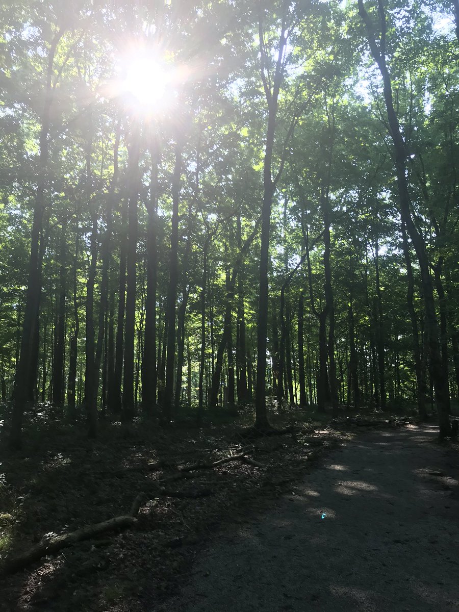 Beast502Mode's tweet photo. #NatureBeast https://t.co/i3CLWrEFNp