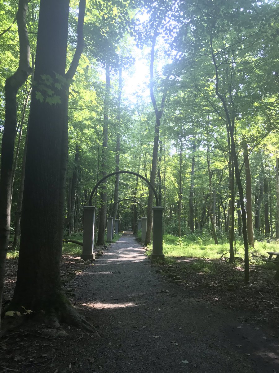 Beast502Mode's tweet photo. #NatureBeast https://t.co/i3CLWrEFNp