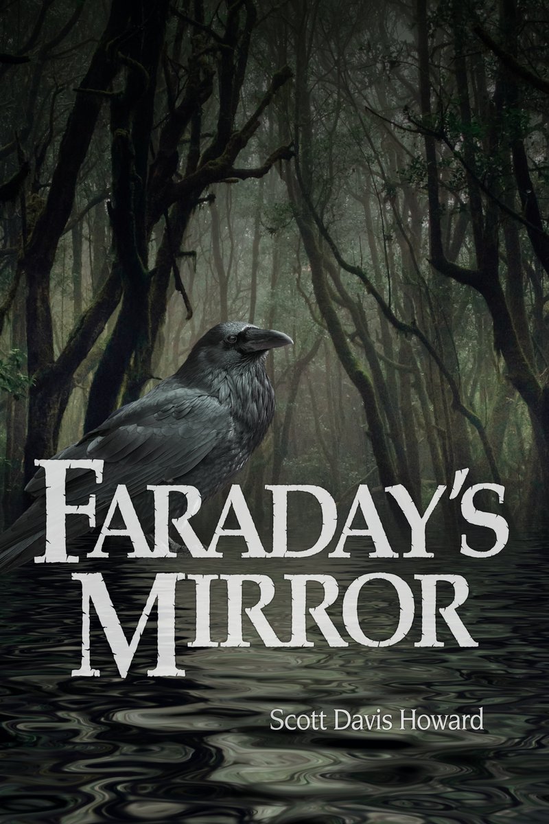 Scott_D_Howard's tweet photo. Due to COVID-19 concerns, the release party for Faraday's Mirror will be held virtually. It's a public event. Click the link to join, and feel free to invite your friends. Going to be a good time! 

https://t.co/a58Omqu4Hg https://t.co/LXlkC3Tbfw